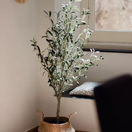 L'ulivo E Il Colibri Apartment *