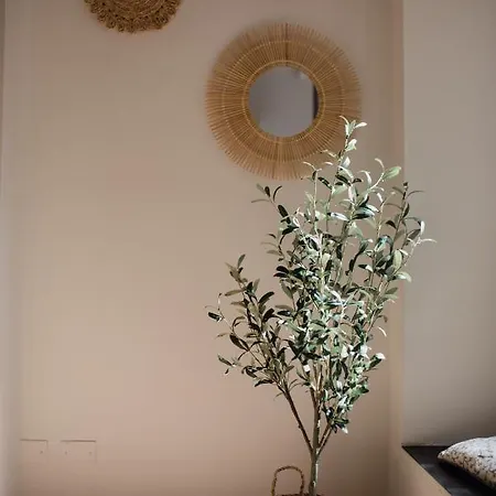 Appartamento L'ulivo E Il Colibrì *