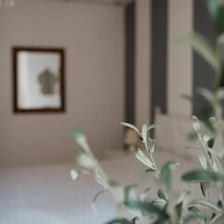 Appartamento L'ulivo E Il Colibrì