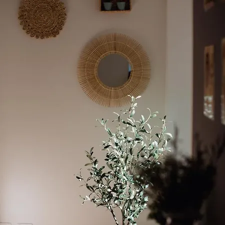 Appartamento L'ulivo E Il Colibrì *