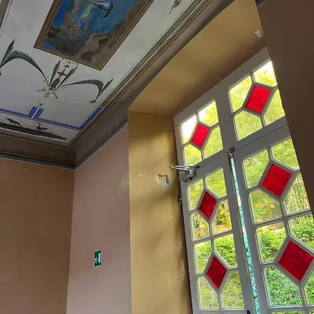 L'ulivo E Il Colibrì *